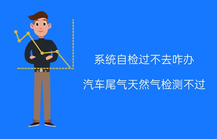 系统自检过不去咋办 汽车尾气天然气检测不过，no严重超标是什么引起的？